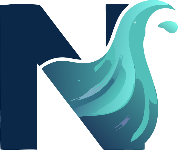 Northflow Logo